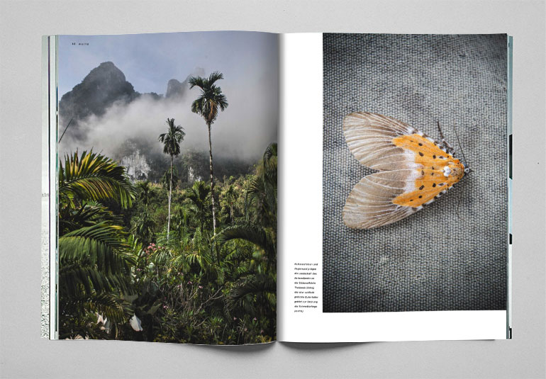 Regina Baierl: Lufthansa exclusive