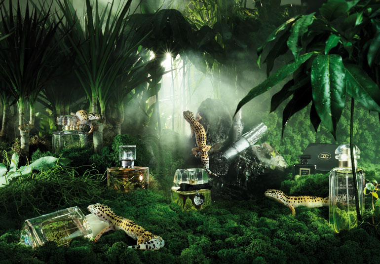 Regina Baierl: Lufthansa exclusive Produktionen