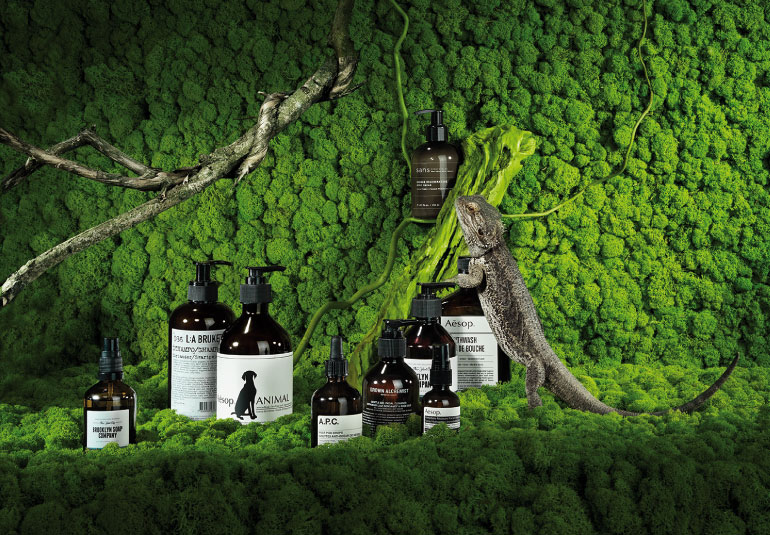 Regina Baierl: Lufthansa exclusive Produktionen