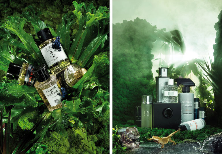 Regina Baierl: Lufthansa exclusive Produktionen