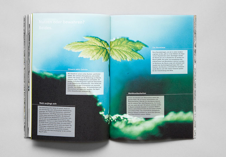 Regina Baierl: Bayerische Staatsforsten