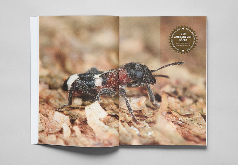 Regina Baierl: Bayerische Staatsforsten