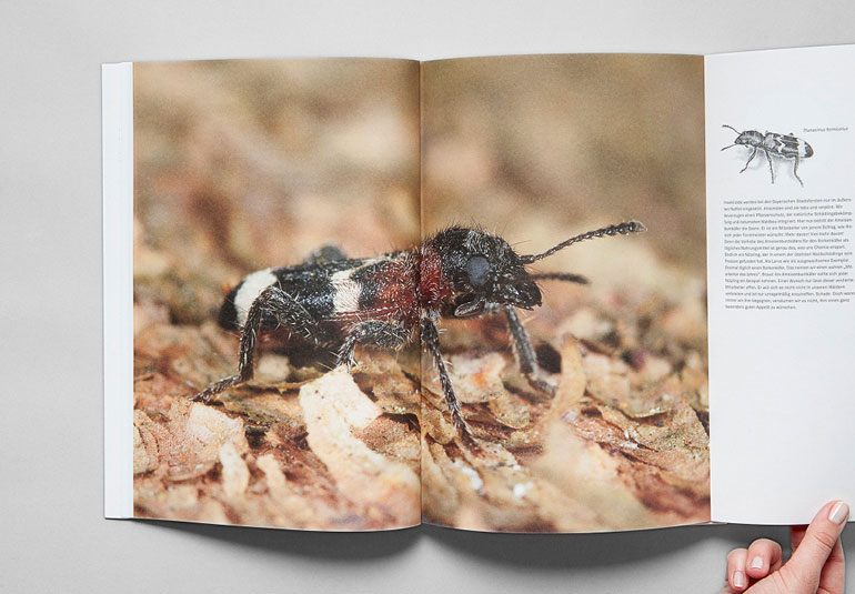 Regina Baierl: Bayerische Staatsforsten