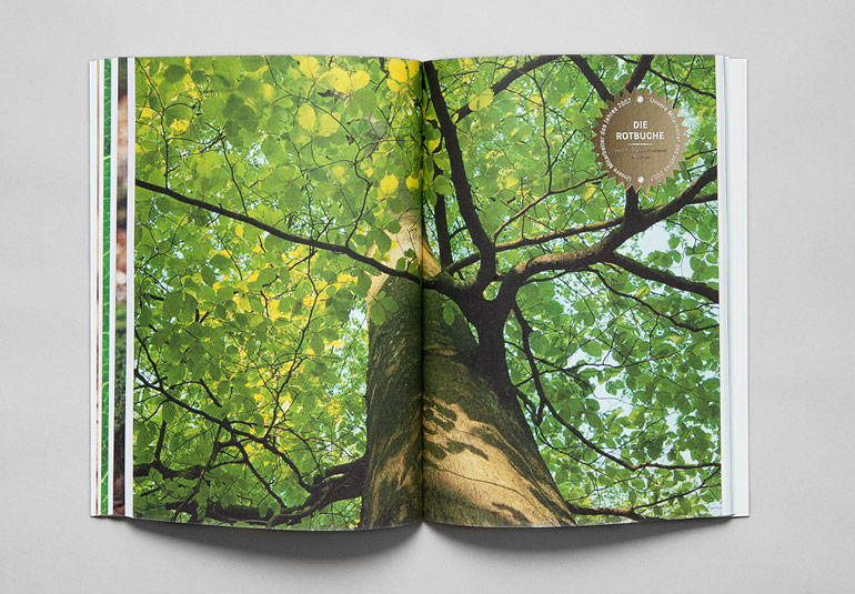 Regina Baierl: Bayerische Staatsforsten