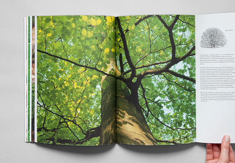 Regina Baierl: Bayerische Staatsforsten