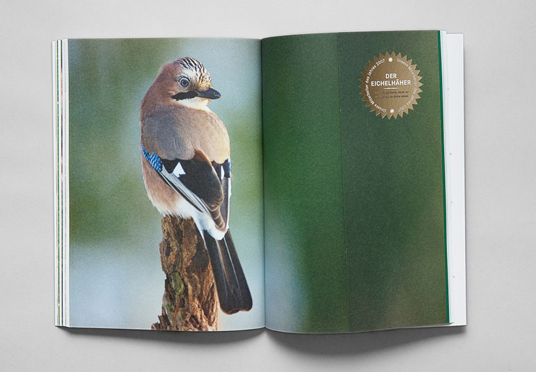 Regina Baierl: Bayerische Staatsforsten