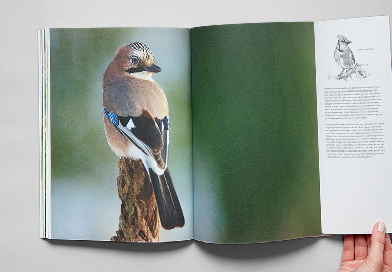 Regina Baierl: Bayerische Staatsforsten
