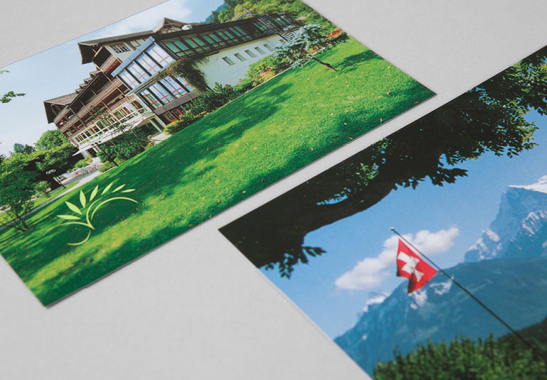 Regina Baierl: Marigold